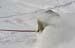 ЧМ по горным лыжам и сноуборду среди яхтсменов, 19 февраля, Ильинское.   Снимок № 27